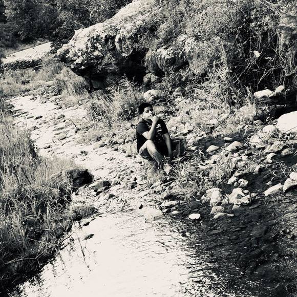 Meet your Posher, Max - Picture 1 of 1